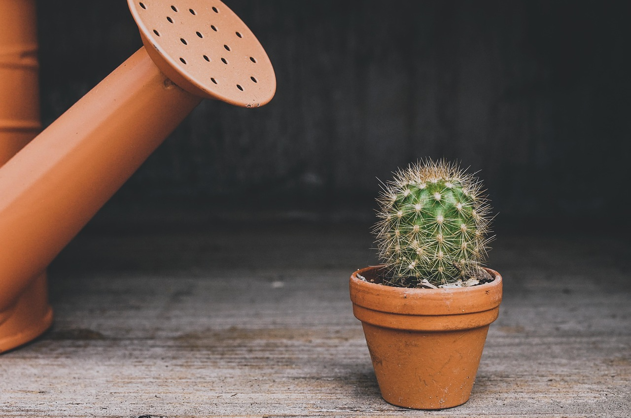 Plant Sales